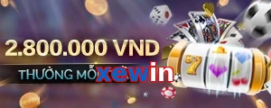 xewin