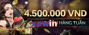 xewin