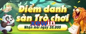 xewin